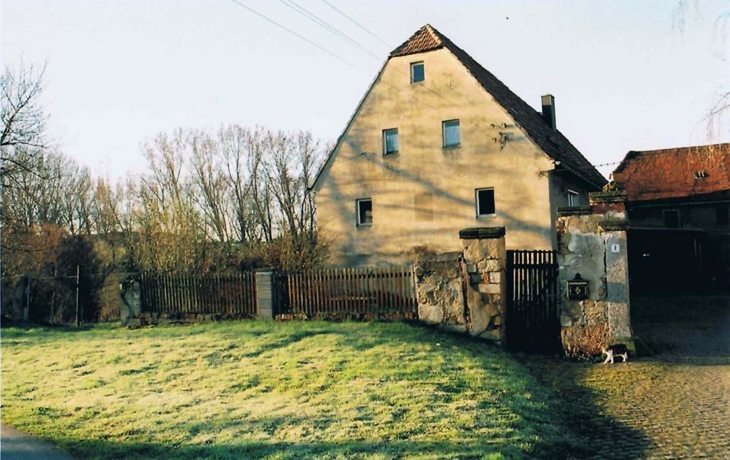 Ein Garten und seine Bäume. | Süd Ost Welt